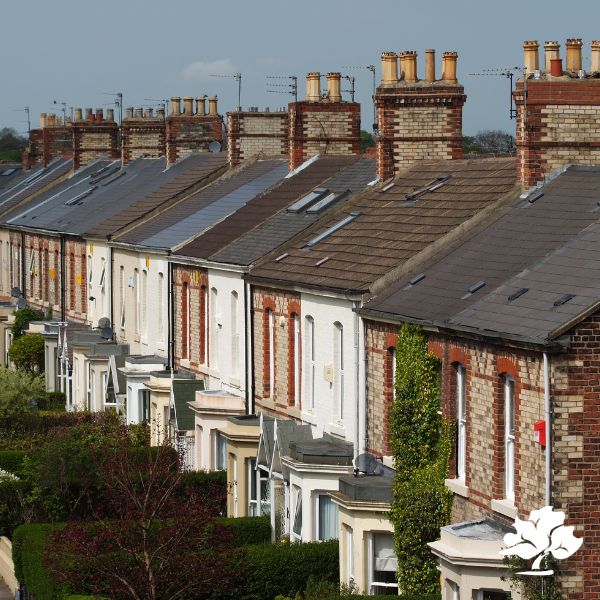 Photograph shows a row of houses with bay fronted windows